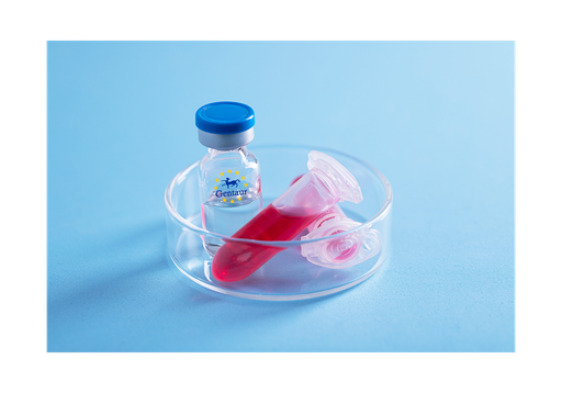 [GEN - PYT309-25ug] RELM a Mouse